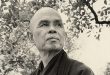 Trần Kiêm Đoàn: Thiền sư Nhất Hạnh, Đã về đã tới